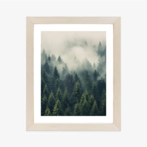 Poster Dichter Nebel Über Einem Grünen Nadelwald Rahmen Holz Mit Passepartout Farbe Natürlich