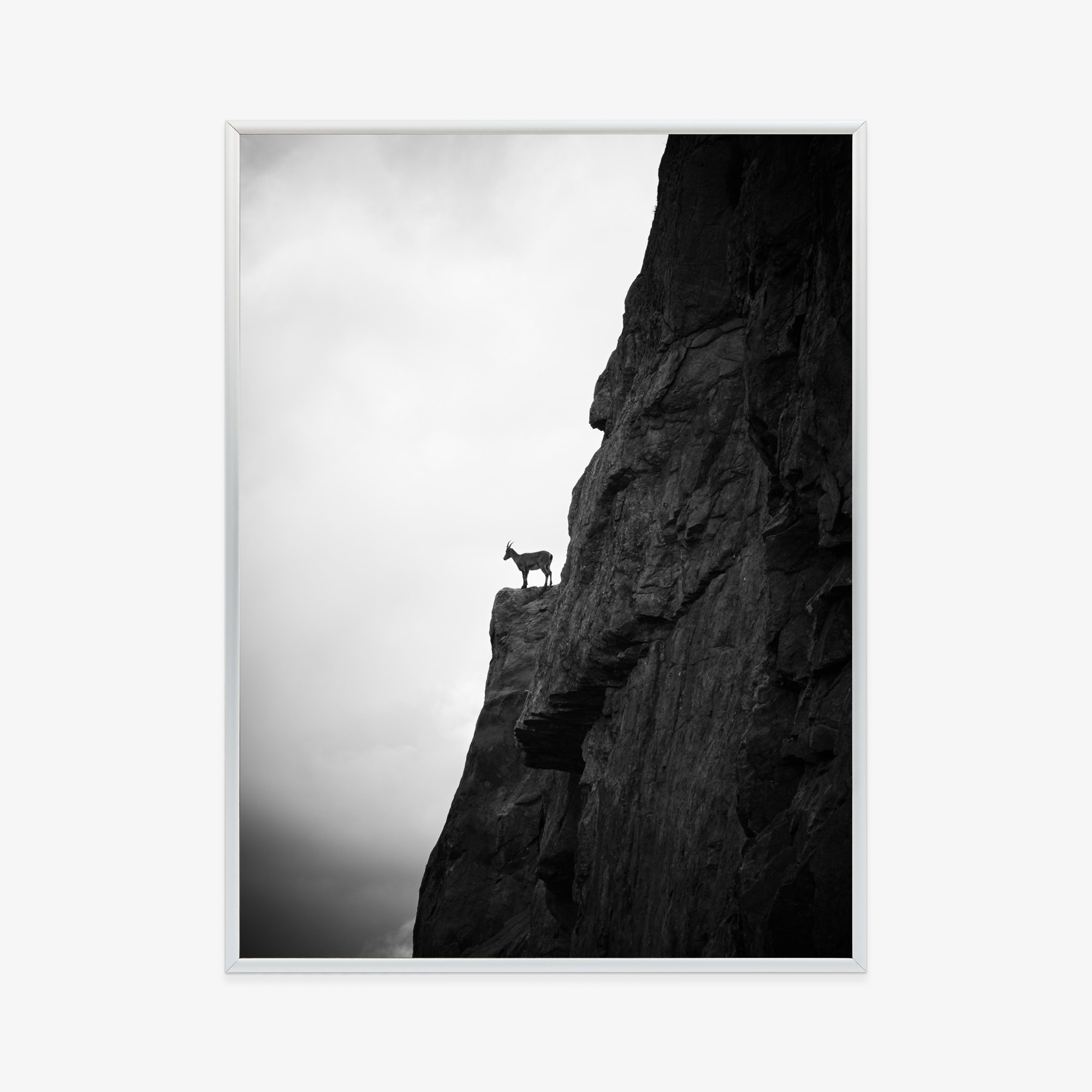 Poster Bergziege Auf Felsen, Schwarz-Weiße Landschaft – Bild 10