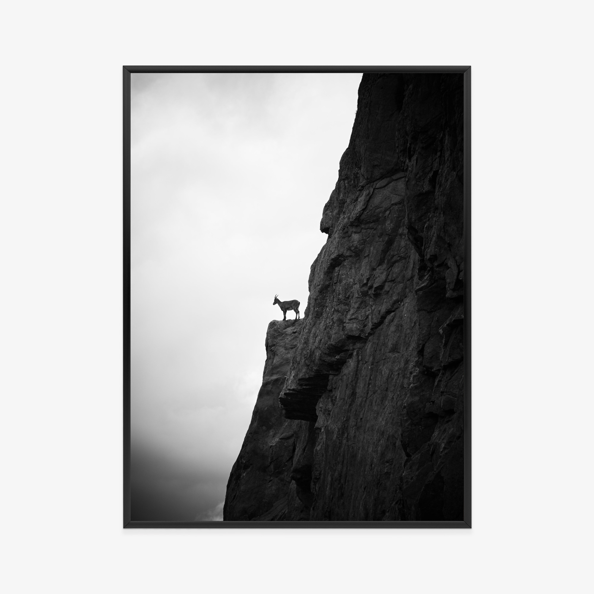 Poster Bergziege Auf Felsen, Schwarz-Weiße Landschaft – Bild 11