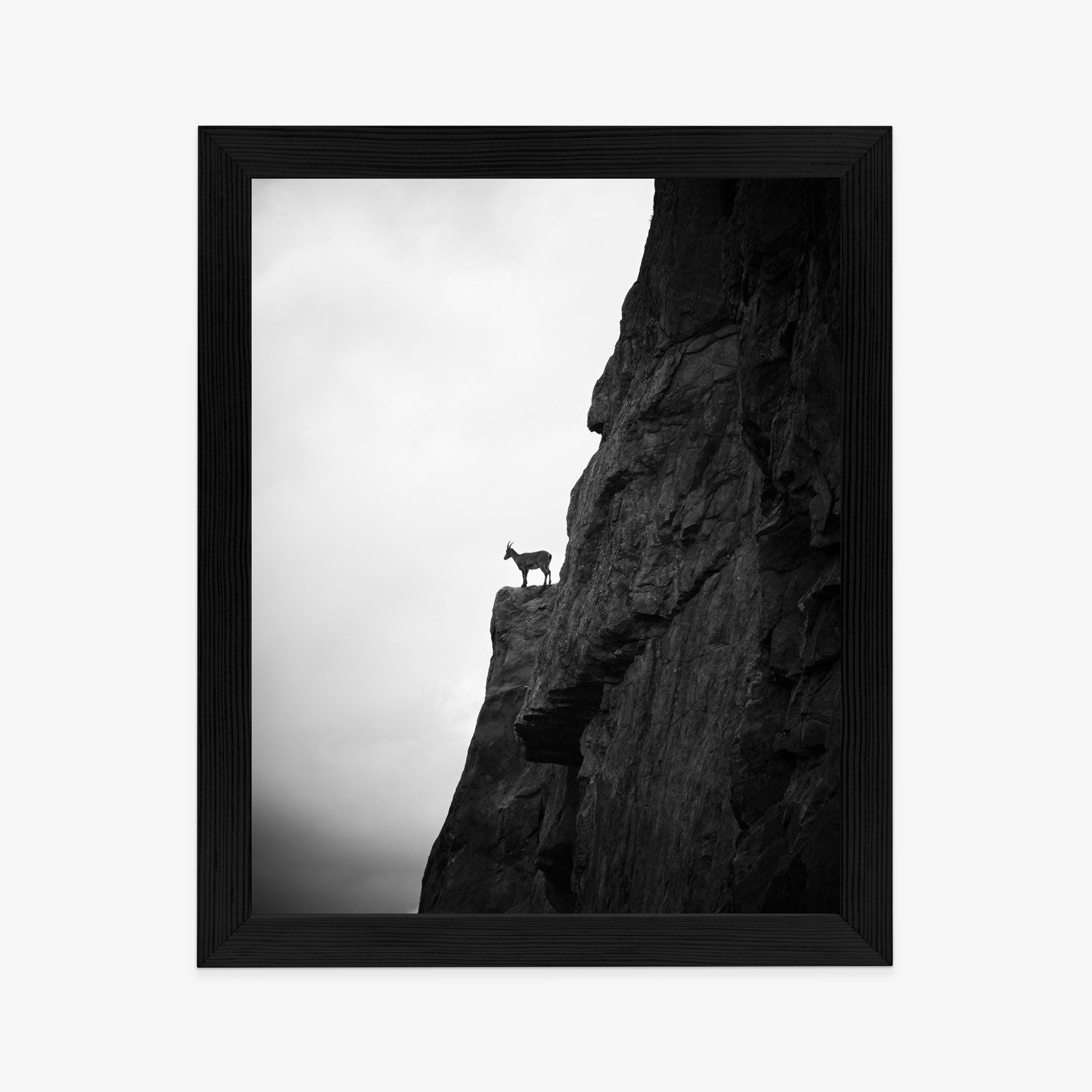 Poster Bergziege Auf Felsen, Schwarz-Weiße Landschaft – Bild 6