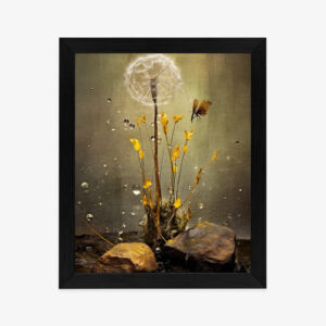 Poster Löwenzahn Und Tautropfen Rahmen Hölzern Farbe Schwarz
