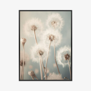 Poster Zarter Löwenzahn Auf Pastellfarbenem Hintergrund Rahmen Aluminium Farbe Schwarz