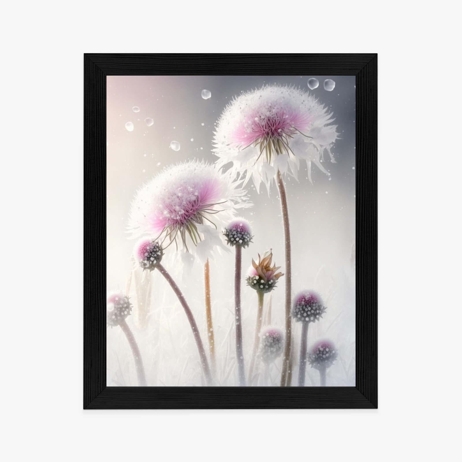 Poster Löwenzahn In Schneeflocken Rahmen Aluminium Farbe Schwarz – Bild 8