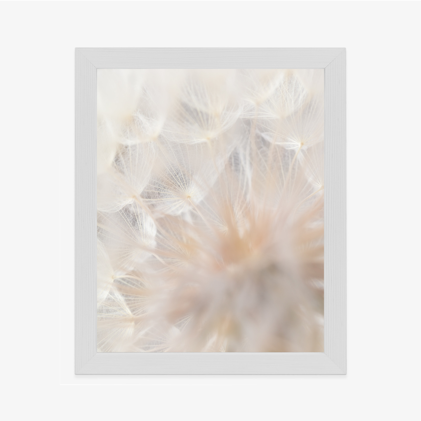 Poster Beiger Löwenzahn Aus Nächster Nähe Rahmen Aluminium Farbe Schwarz – Bild 7