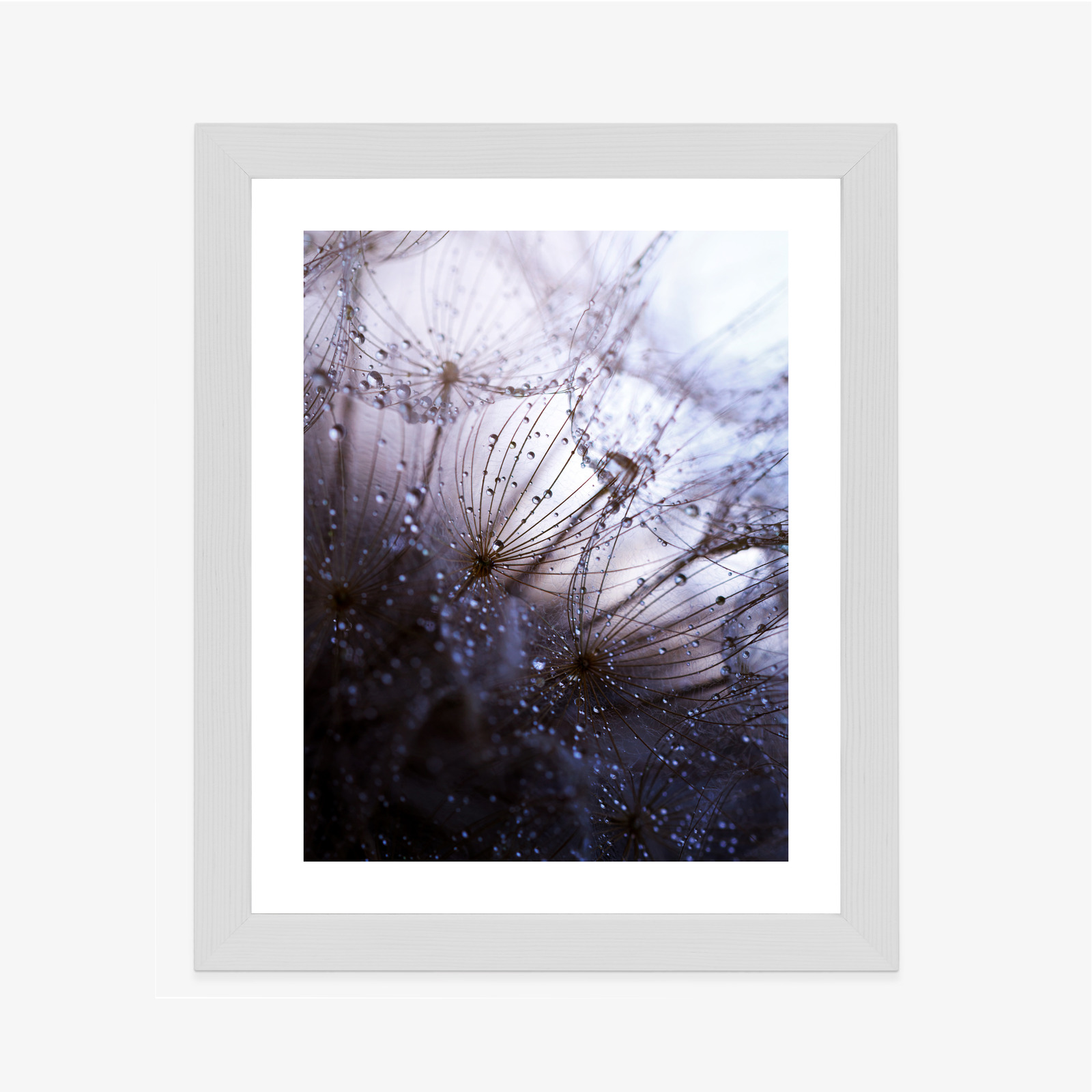 Poster Nasser Löwenzahn Rahmen Aluminium Farbe Schwarz – Bild 9