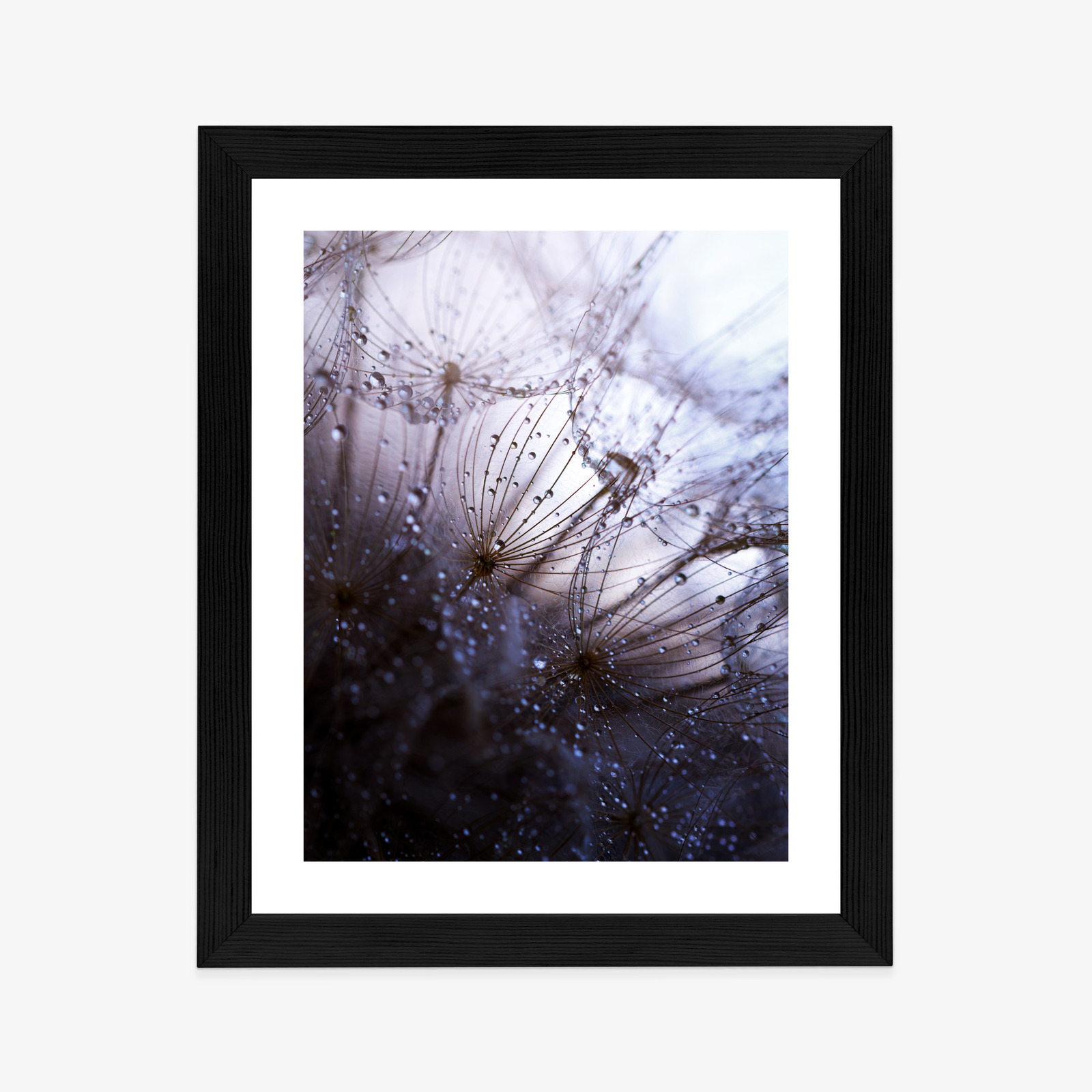 Poster Nasser Löwenzahn Rahmen Aluminium Farbe Schwarz – Bild 10