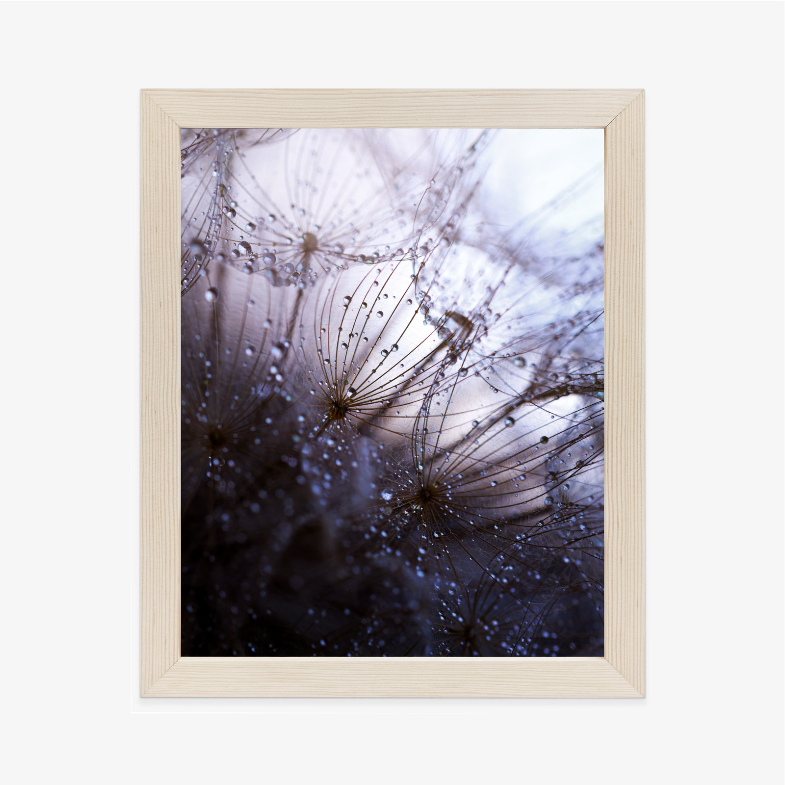 Poster Nasser Löwenzahn Rahmen Aluminium Farbe Schwarz – Bild 11