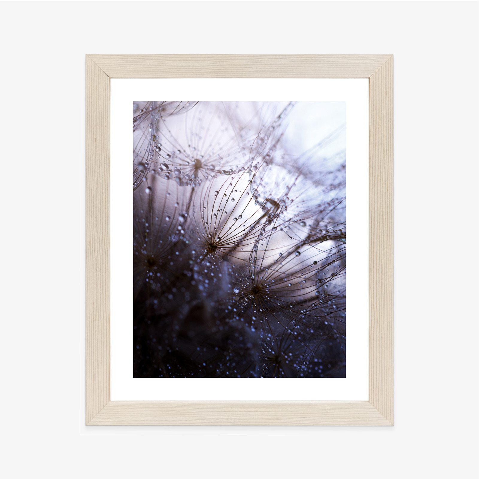 Poster Nasser Löwenzahn Rahmen Aluminium Farbe Schwarz – Bild 12