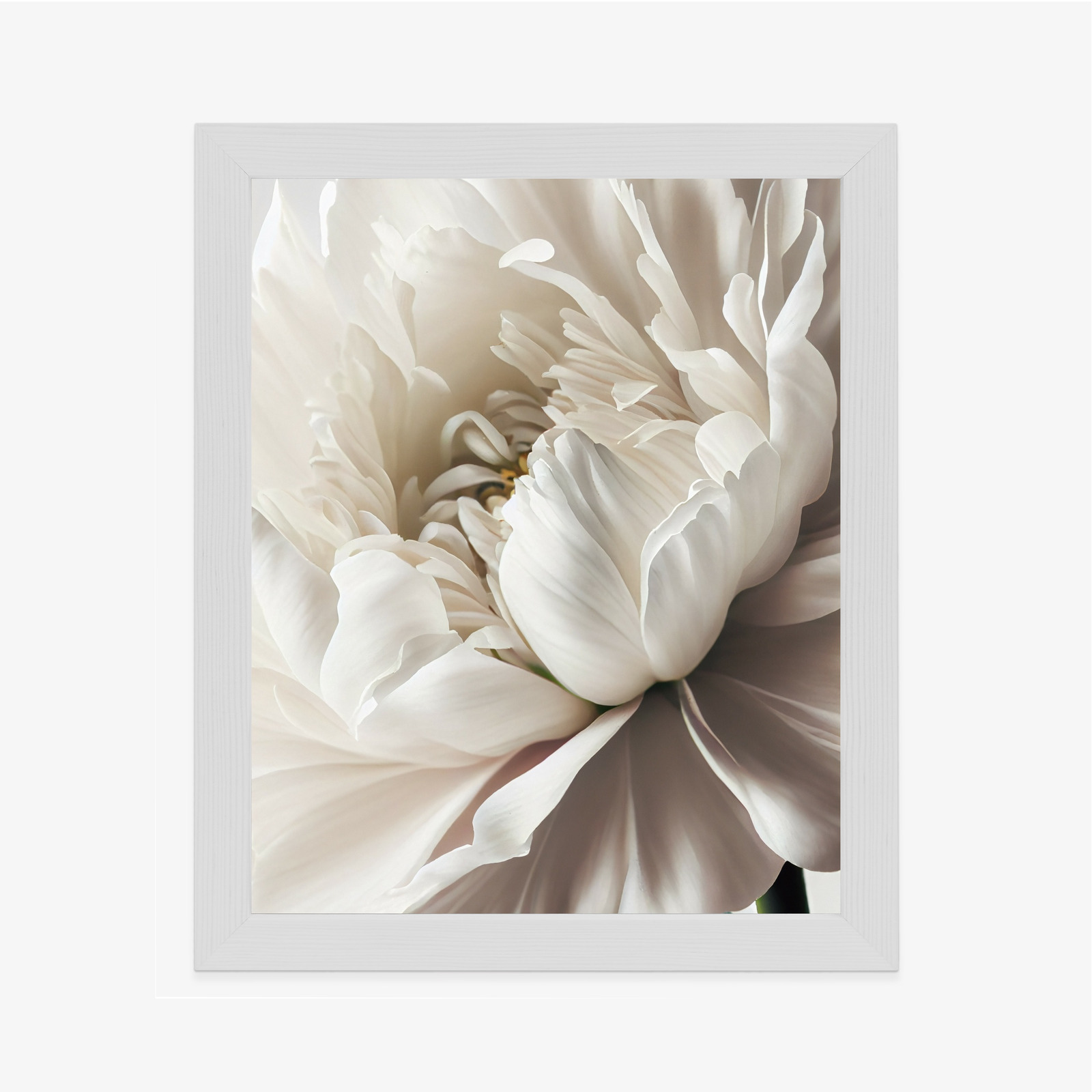 Poster Nahaufnahme Der Weißen Pfingstrose Rahmen Holz Mit Passepartout Farbe Natürlich – Bild 7