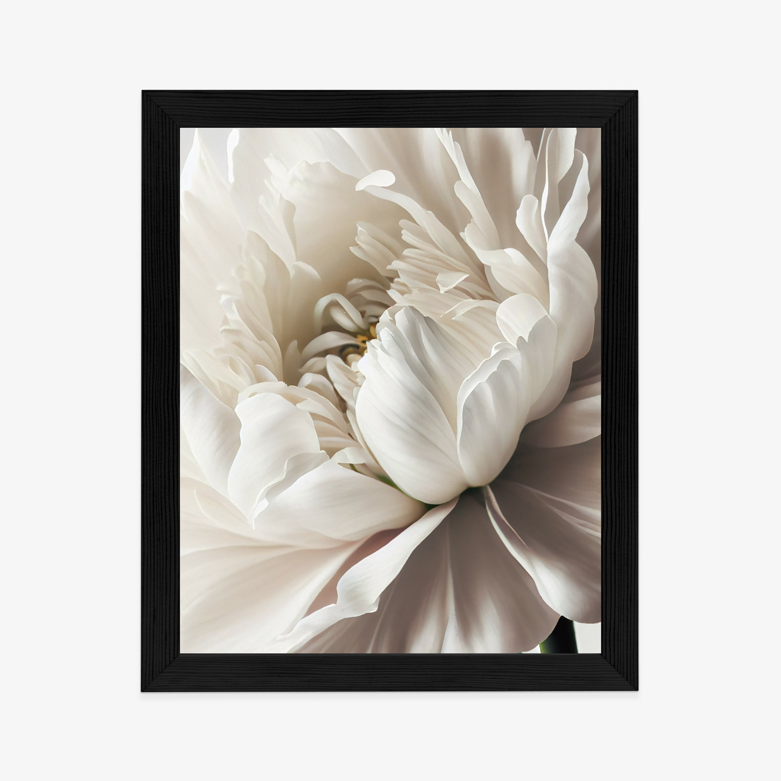 Poster Nahaufnahme Der Weißen Pfingstrose Rahmen Holz Mit Passepartout Farbe Natürlich – Bild 6