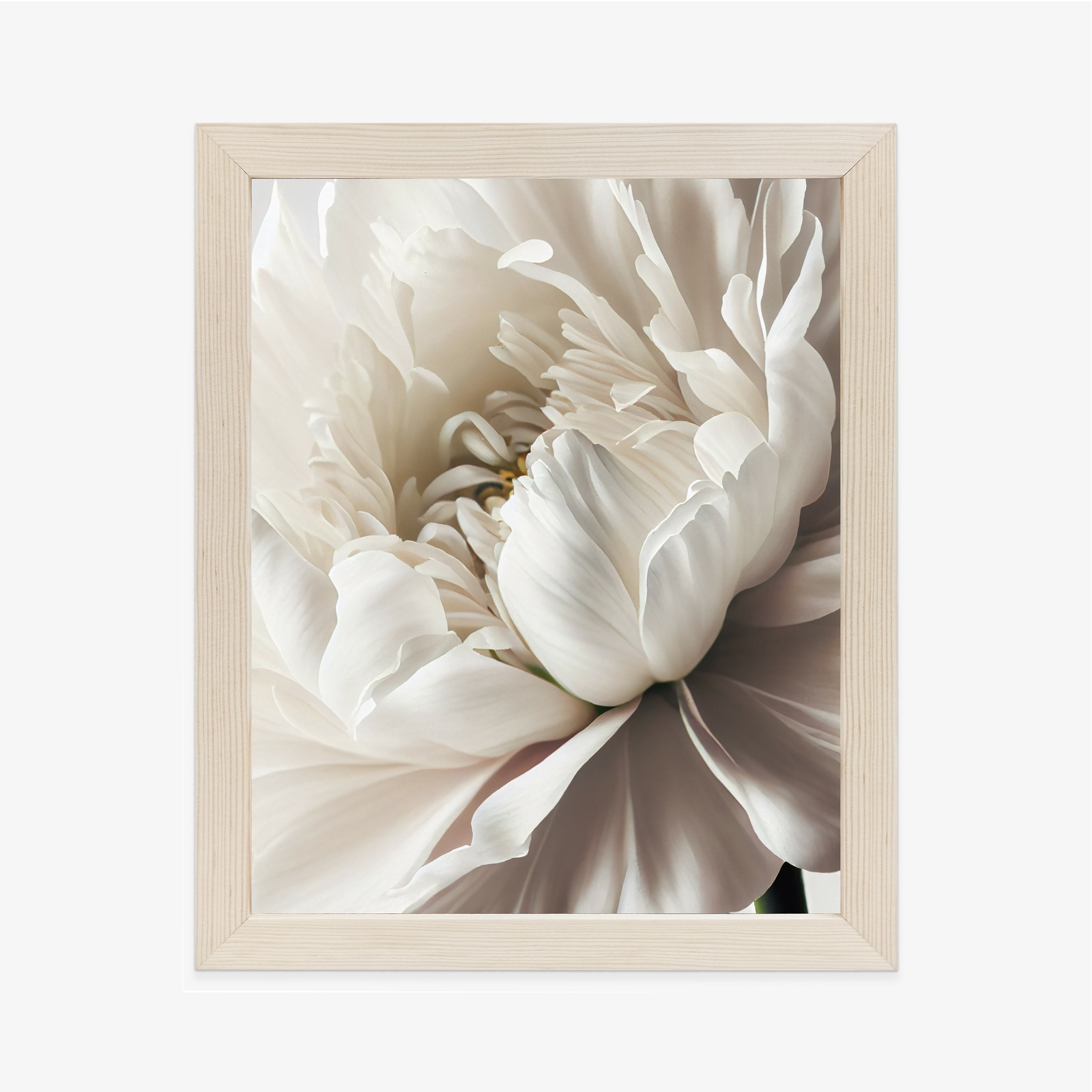 Poster Nahaufnahme Der Weißen Pfingstrose Rahmen Holz Mit Passepartout Farbe Natürlich – Bild 2