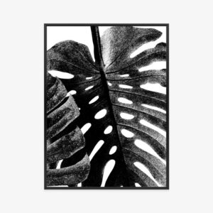 Poster Black And White Leaf Rahmen Aluminium Farbe Schwarz