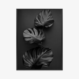Poster Shiny Dark Leaves Rahmen Aluminium Farbe Schwarz