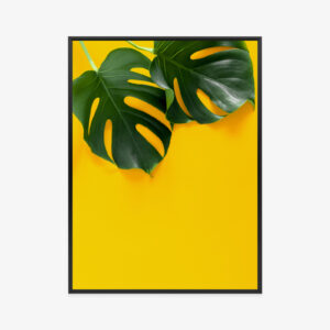 Poster Big Monstera Leaves Rahmen Aluminium Farbe Schwarz