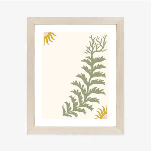 Poster Blätter Und Zweige Mit Wurzeln Rahmen Holz Mit Passepartout Farbe Natürlich