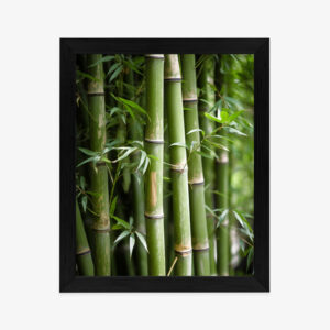Poster Bambuswald Aus Nächster Nähe Rahmen Hölzern Farbe Schwarz