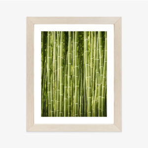 Poster Bambuszaun Rahmen Holz Mit Passepartout Farbe Natürlich