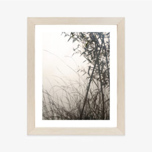 Poster Bambus Und Gräser Am See Rahmen Holz Mit Passepartout Farbe Natürlich