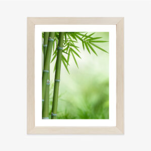 Poster Bambus Auf Botanischem Hintergrund Rahmen Holz Mit Passepartout Farbe Natürlich