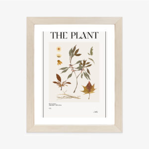 Poster Atlas Der Herbstblätter Rahmen Holz Mit Passepartout Farbe Natürlich