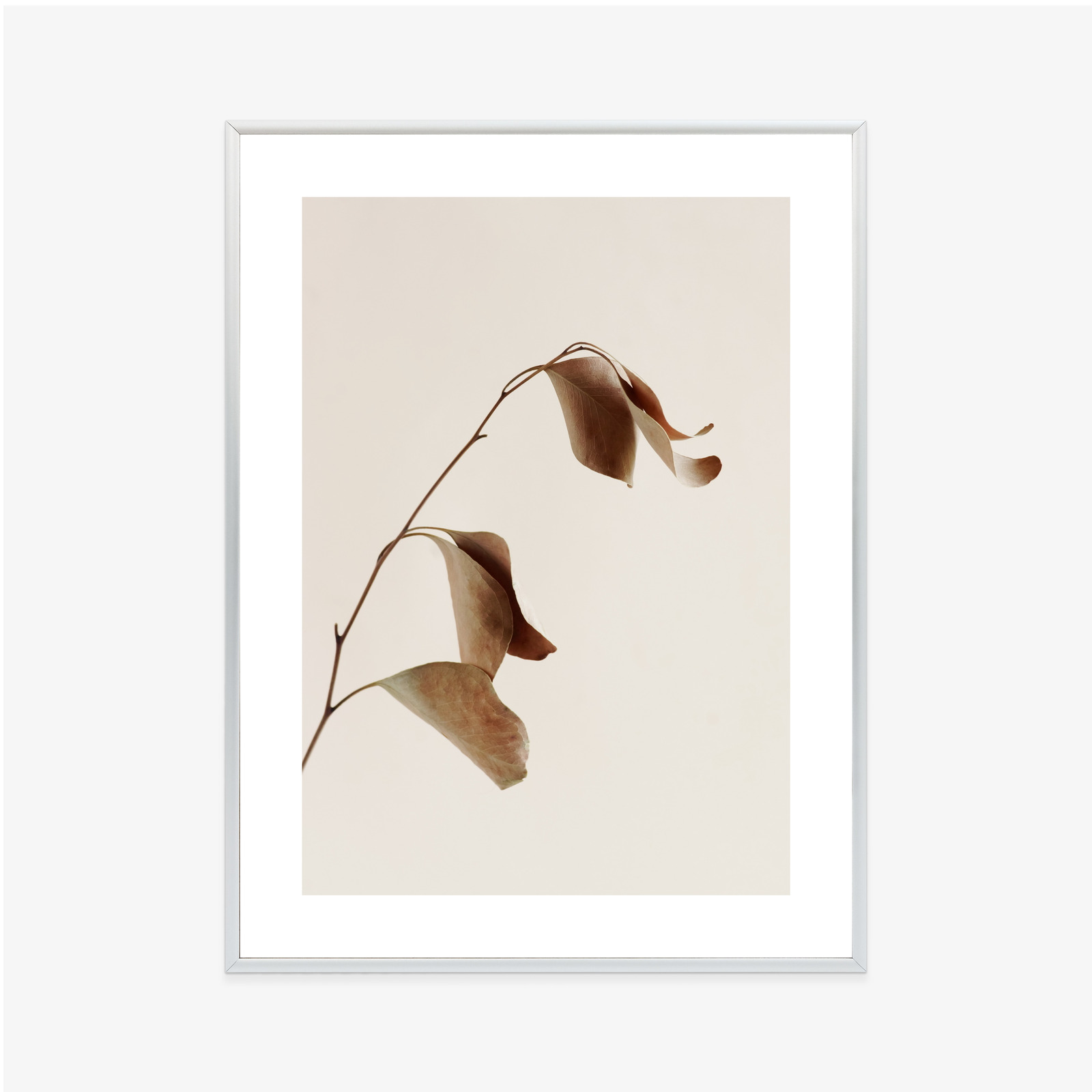 Poster Beiger Trockener Eukalyptus Rahmen Holz Mit Passepartout Farbe Natürlich – Bild 8