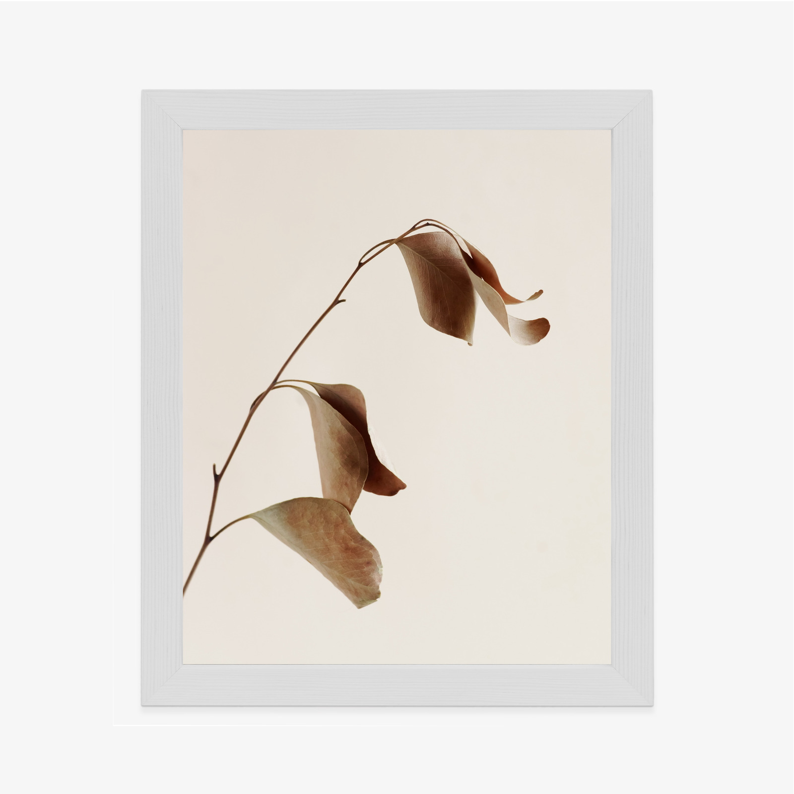 Poster Beiger Trockener Eukalyptus Rahmen Holz Mit Passepartout Farbe Natürlich – Bild 7