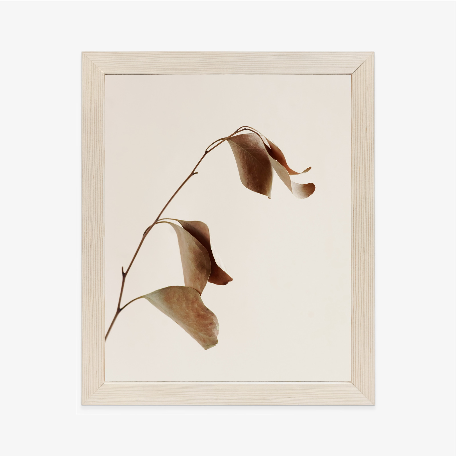 Poster Beiger Trockener Eukalyptus Rahmen Holz Mit Passepartout Farbe Natürlich – Bild 2
