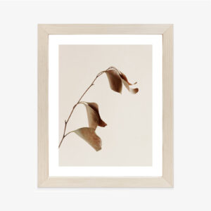 Poster Beiger Trockener Eukalyptus Rahmen Holz Mit Passepartout Farbe Natürlich