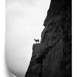 Poster Bergziege Auf Felsen, Schwarz-Weiße Landschaft