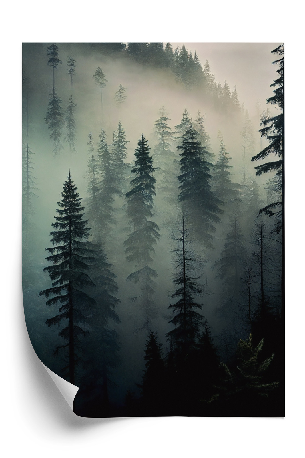 Poster Bäume In Einem Nebligen Wald Rahmen Holz Mit Passepartout Farbe Natürlich – Bild 3