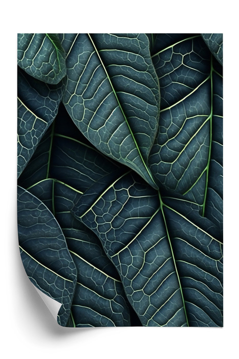 Poster Dunkelgrüne 3D-Tropenblätter Rahmen Holz Mit Passepartout Farbe Natürlich – Bild 3