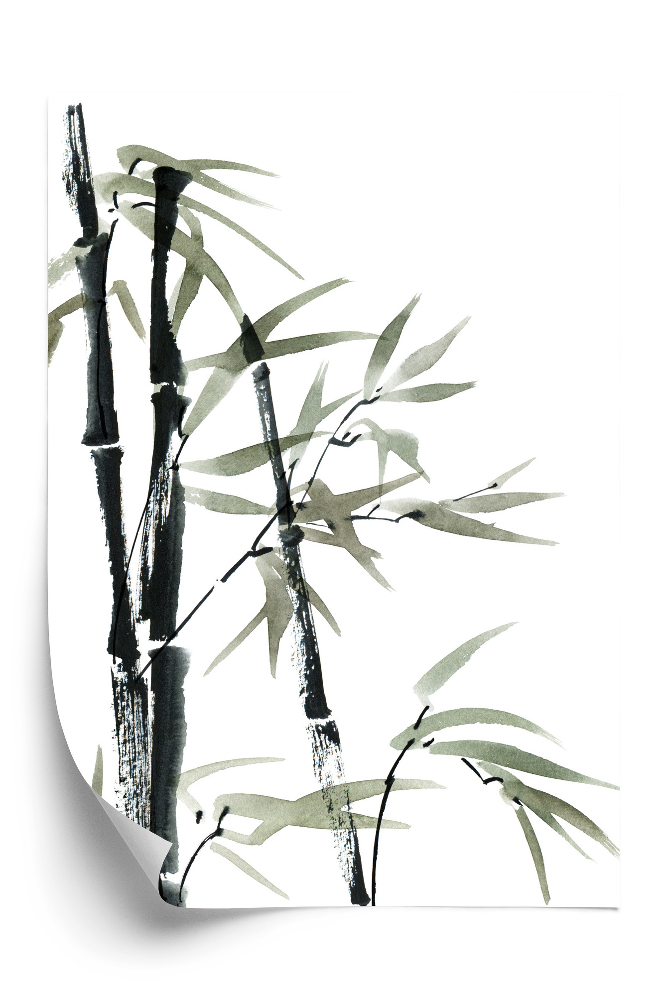 Poster Aquarell Bambus Und Blätter Rahmen Holz Mit Passepartout Farbe Natürlich – Bild 3
