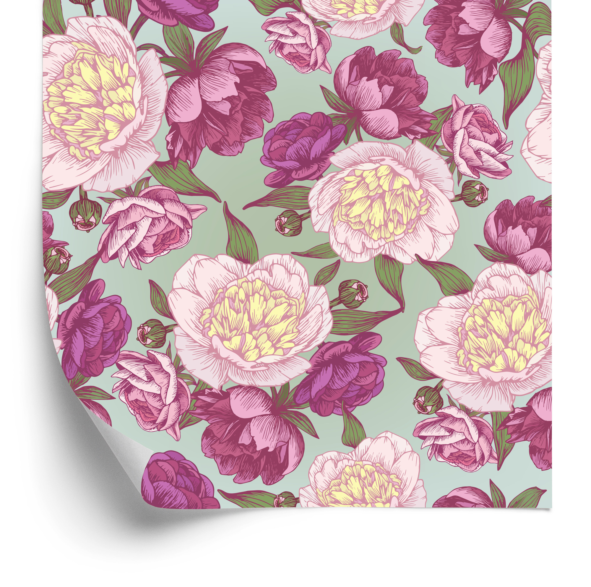 Tapete Schöne Pfingstrosen In Rosatönen