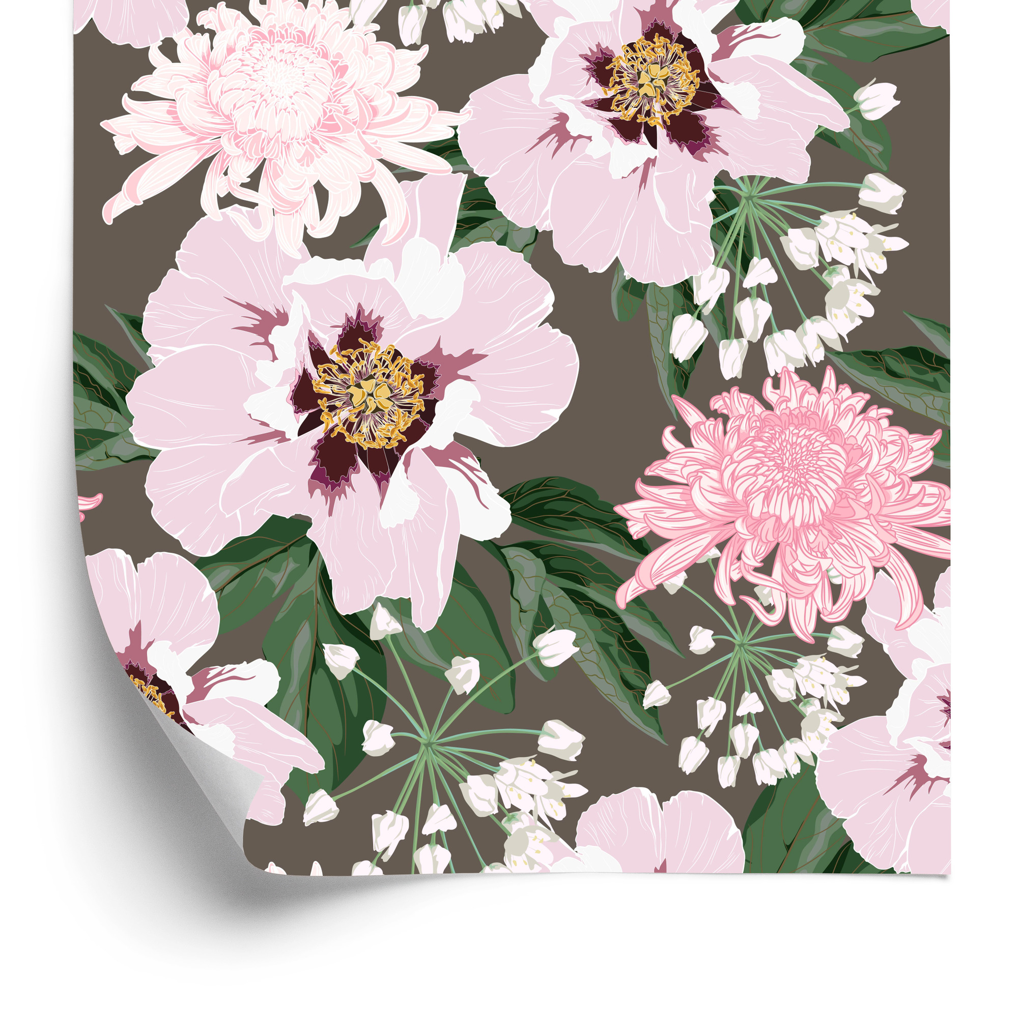 Tapete Schöne Chrysanthemen Und Pfingstrosen