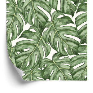 Tapete Monstera-Blätter