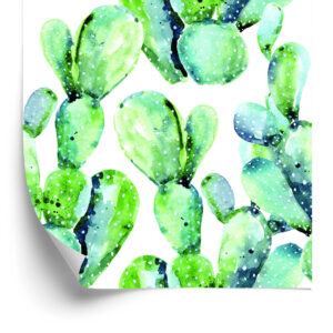 Tapete Blumen, Pflanzen, Kakteen