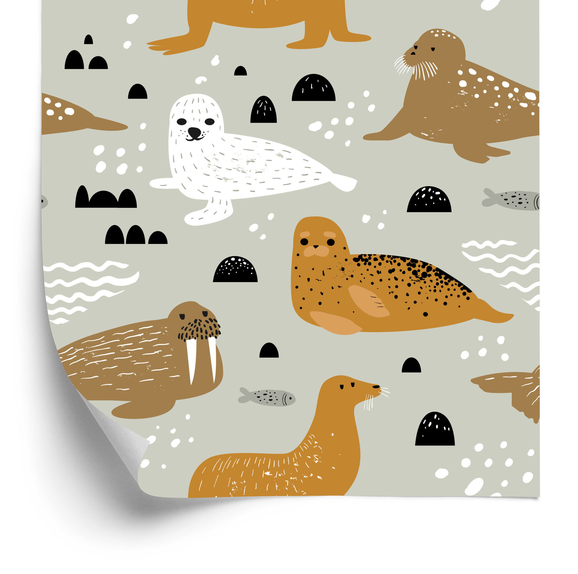 Tapete Für Kinder - Robben Und Walrosse