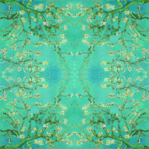 Fototapete Quadratisch Mandelblüten