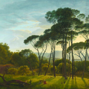 Fototapete Quadratisch Italienische Landschaft Mit Schirmförmigen Kiefern