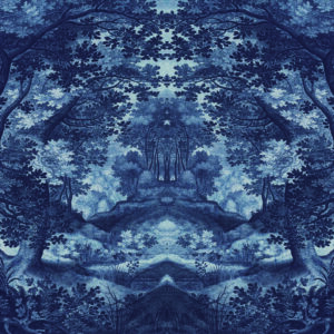 Fototapete Quadratisch In Den Wald In Blau