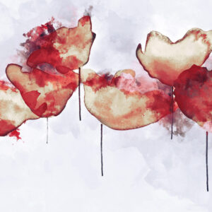 Leinwandbild Abstrakte Mohnblumen