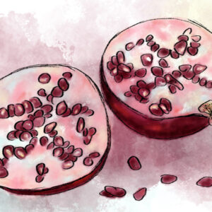 Leinwandbild Aquarellgranaten