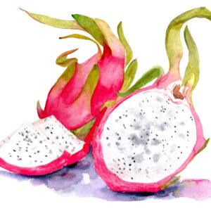 Leinwandbild Aquarell Drachenfrucht