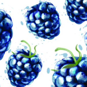 Leinwandbild Bemalte Brombeeren