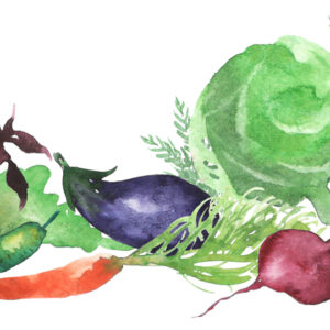 Leinwandbild Frisches Gemüse Mit Aquarell Gemalt