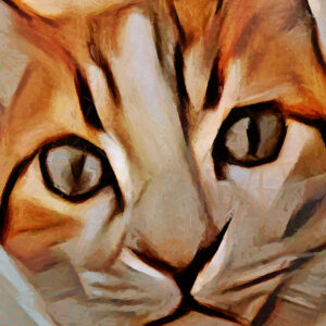 Leinwandbild Porträt Einer Katze Wie Gemalt