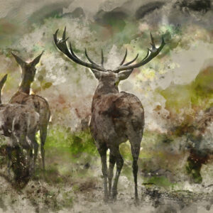 Leinwandbild Aquarellhirsche Im Wald