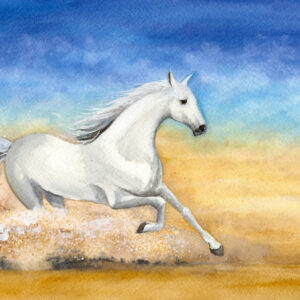 Leinwandbild Ein Pferd Im Galopp In Der Wüste