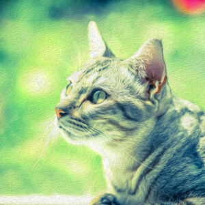 Leinwandbild Die Katze Sieht Aus Wie Gemalt