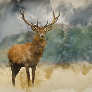 Leinwandbild Ein Mit Aquarell Gemaltes Reh